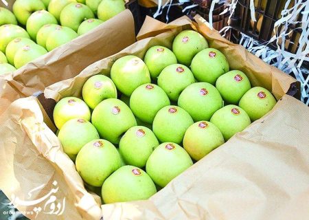 زنجیره تولید تا صادرات سیب آذربایجان‌غربی تقویت می‌شود