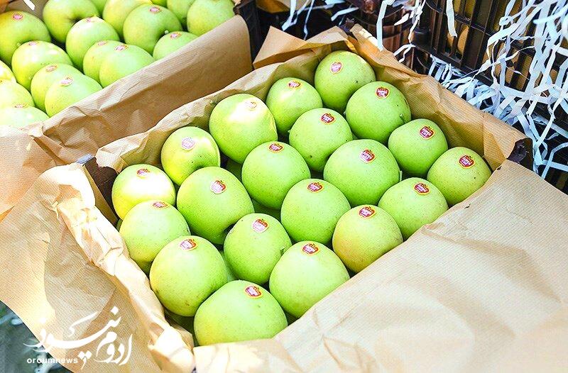 زنجیره تولید تا صادرات سیب آذربایجان‌غربی تقویت می‌شود